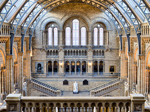Natural History photo